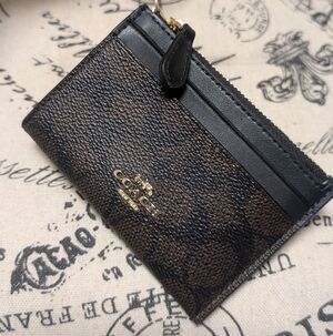 Coach Mini Skinny ID Case